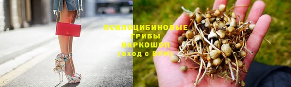 крисы Верея