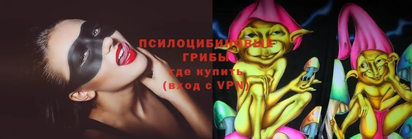ПСИЛОЦИБИНОВЫЕ ГРИБЫ Верхнеуральск