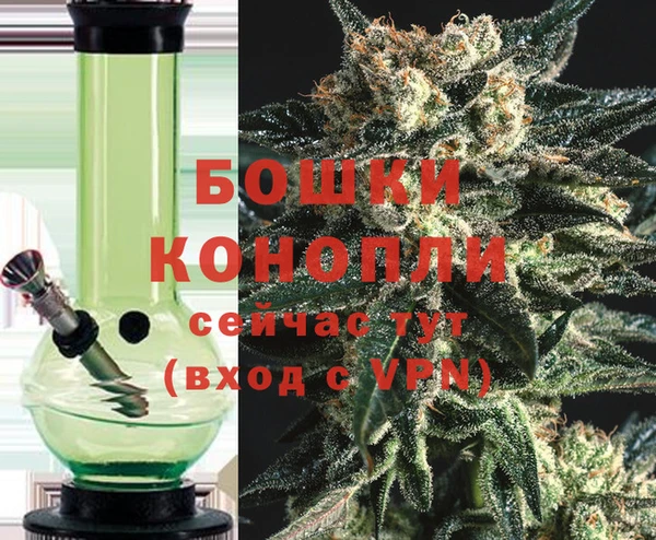 ПСИЛОЦИБИНОВЫЕ ГРИБЫ Верхнеуральск