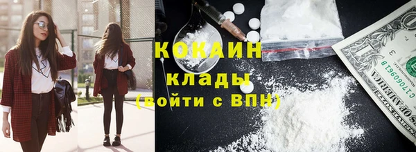 крисы Верея