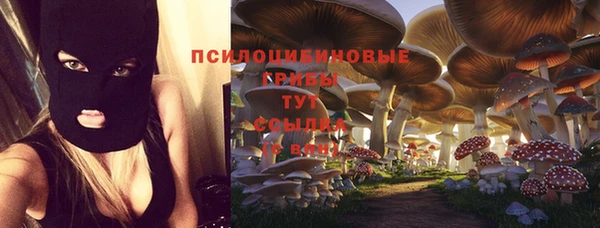 прущие крисы Бронницы