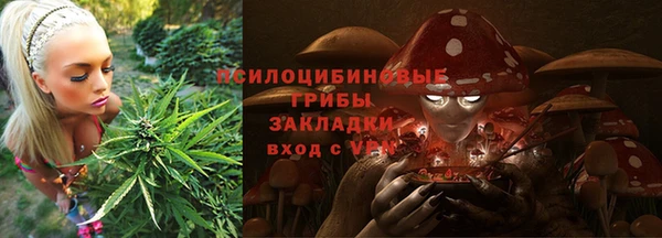 крисы Верея