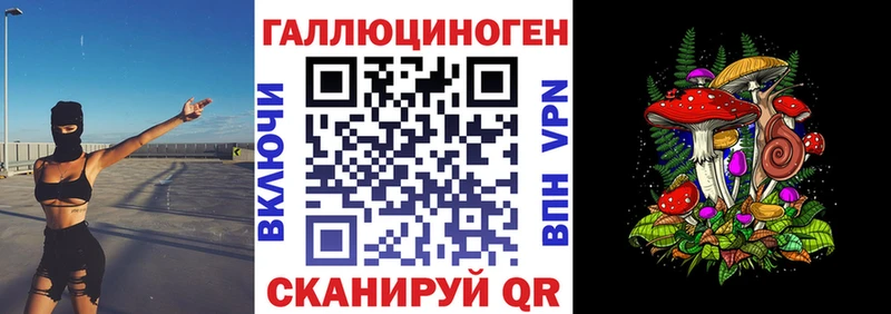 что такое   Галич  kraken как зайти  Галлюциногенные грибы прущие грибы 